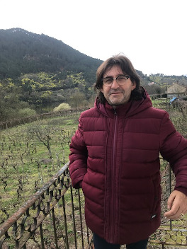 Nueva viña de calidad en Ribadavia